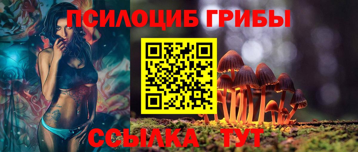 Псилоцибиновые грибы Psilocybine cubensis  Вход с VPN  Камышлов 
