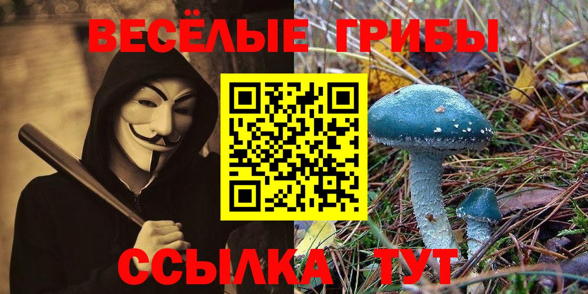 Псилоцибиновые грибы MAGIC MUSHROOMS Камышлов