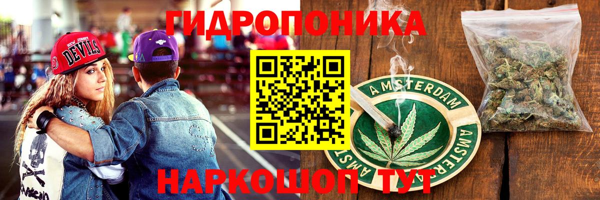 Бошки Шишки план Камышлов
